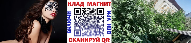 Виды наркотиков купить Дрезна COCAIN  A PVP  Меф  ГАШИШ  Лсд 25  Марихуана 